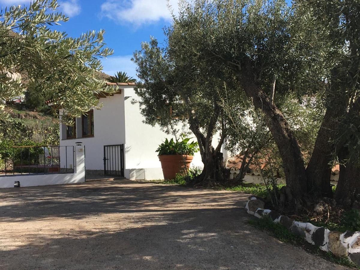 Holiday home El Regalo De Mis Abuelos Santa Lucia De Tirajana